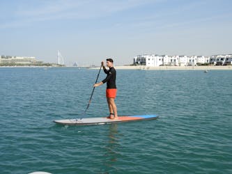 Stand up paddle boarding rental at the Palm Jumeirah